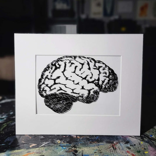 Anatomical Brain