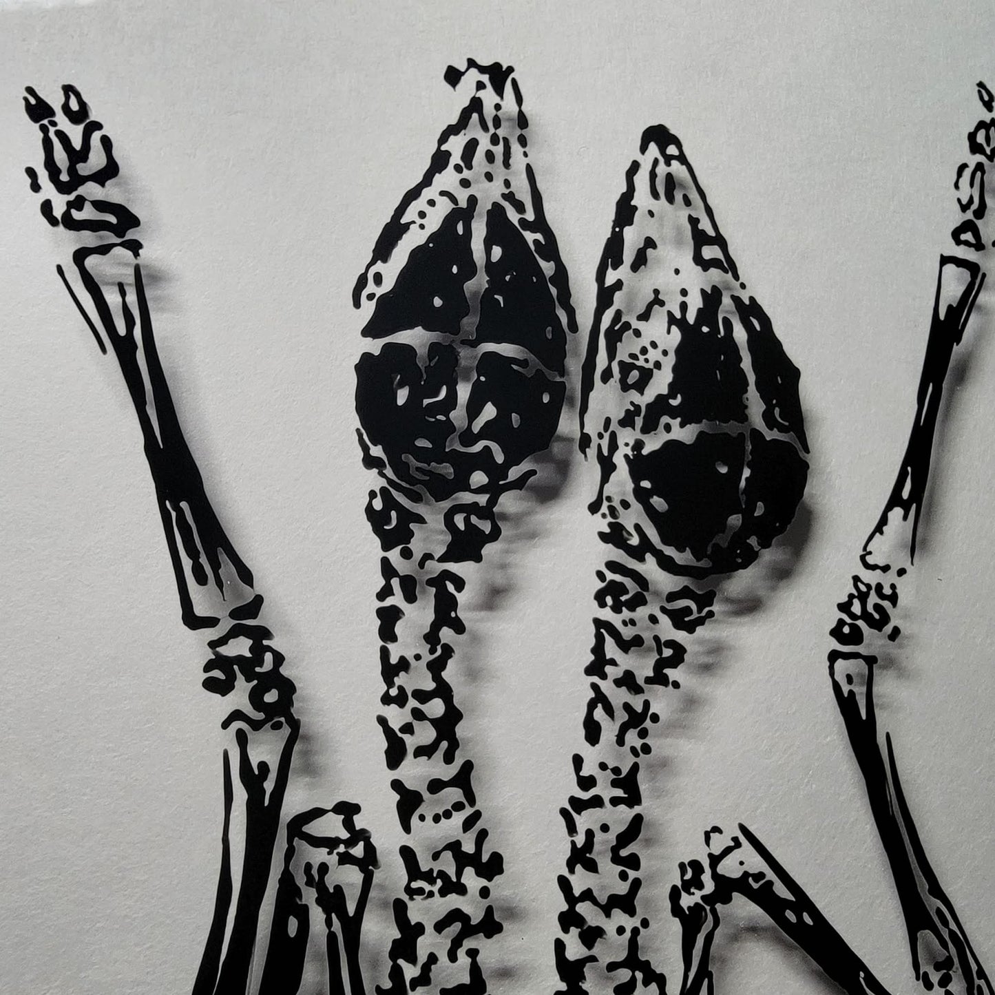 Conjoined Fawns