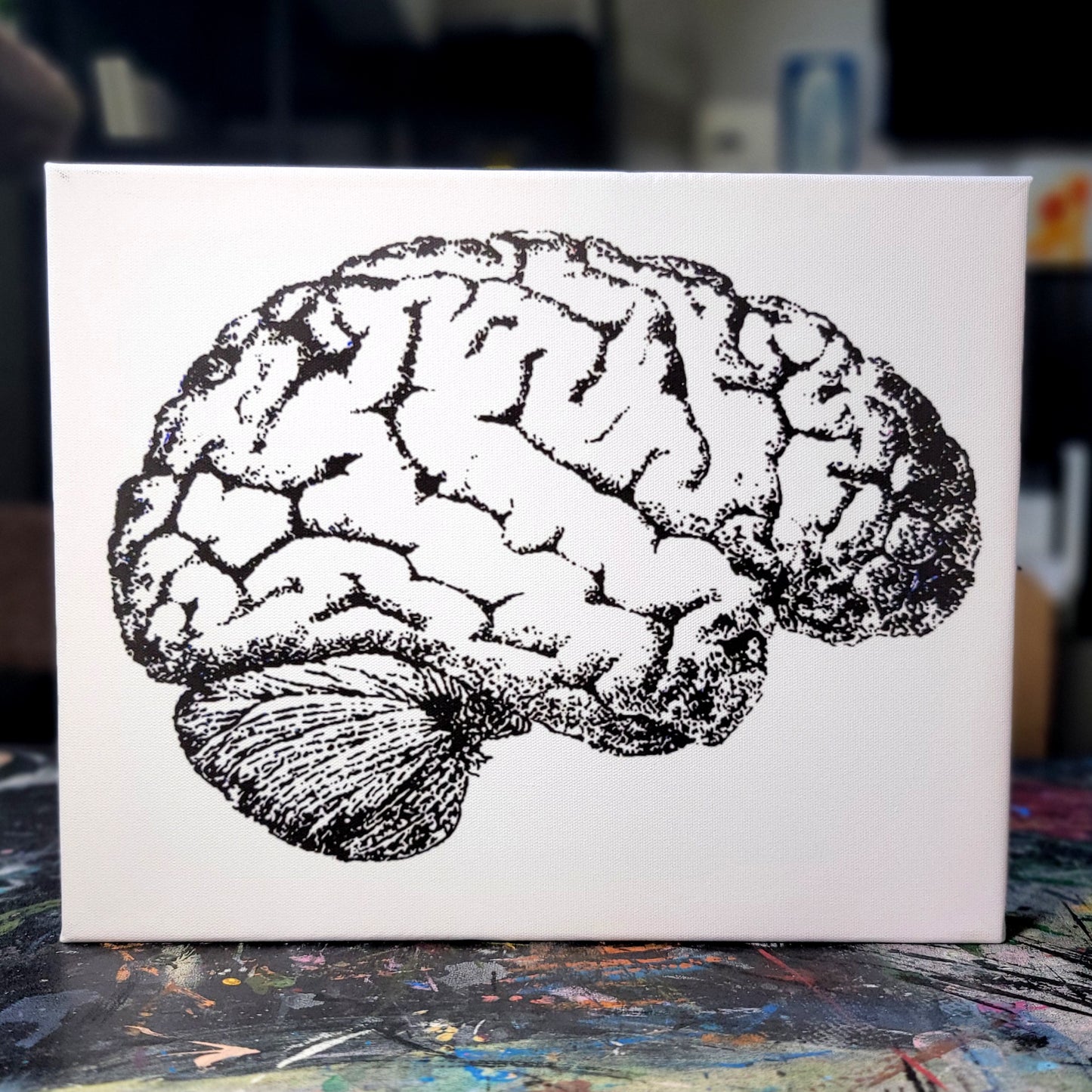 Anatomical Brain
