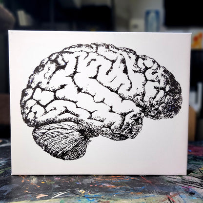 Anatomical Brain