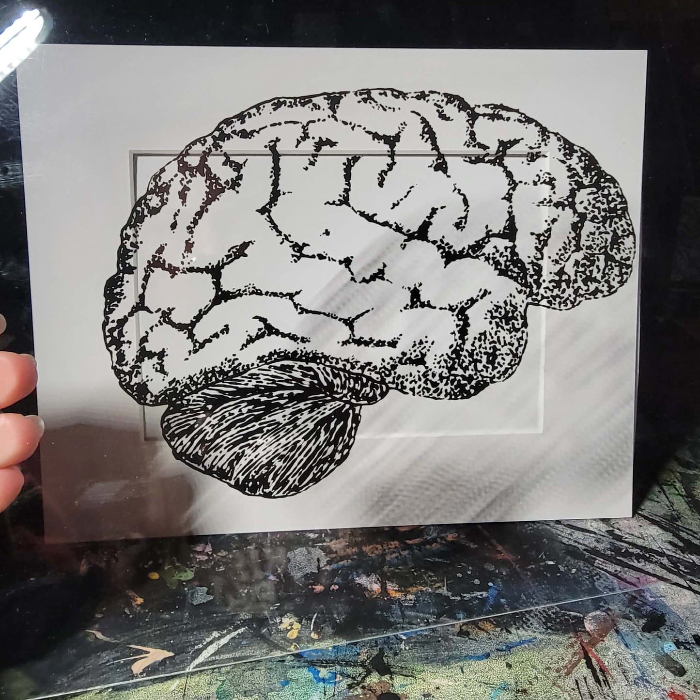 Anatomical Brain