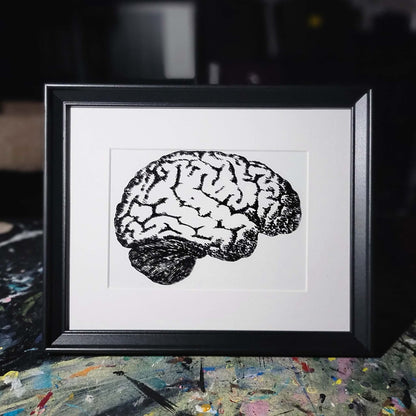 Anatomical Brain