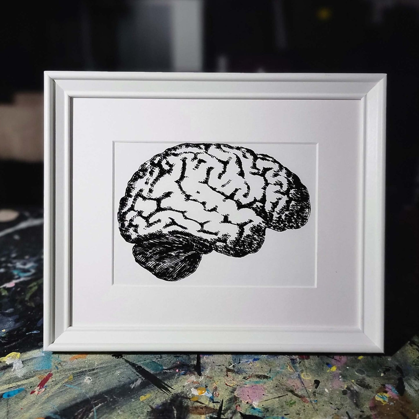 Anatomical Brain