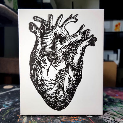 Anatomical Heart