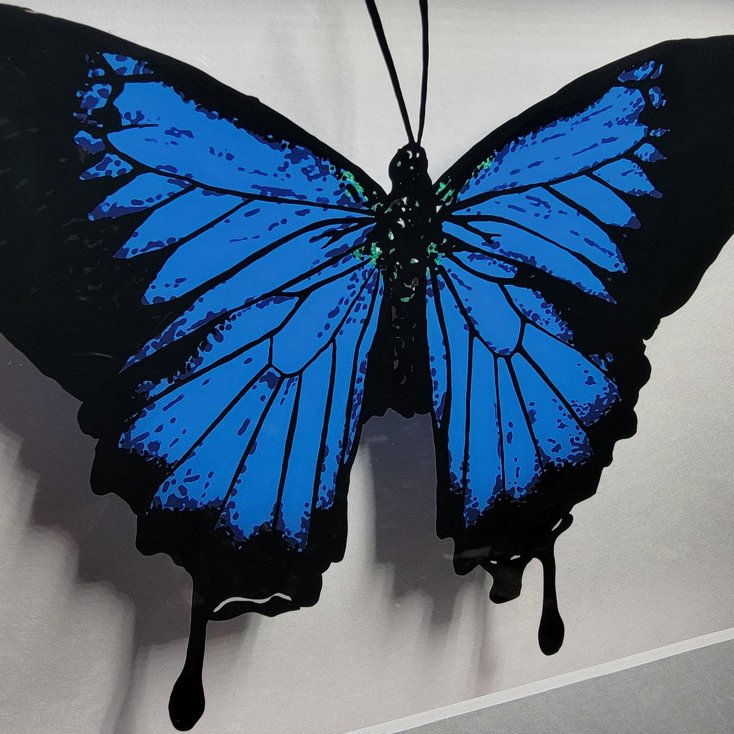 Blue Swallowtail
