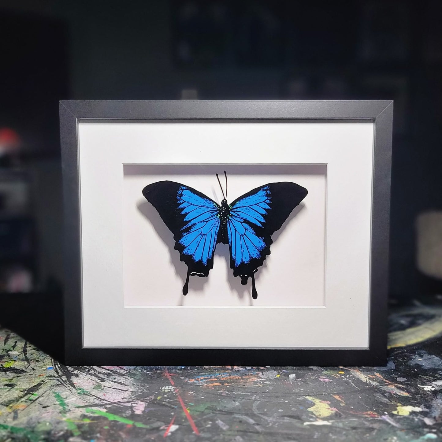 Blue Swallowtail