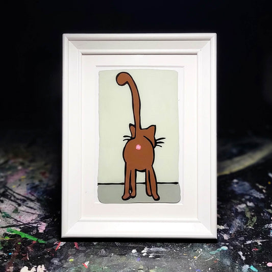 Cat Anus