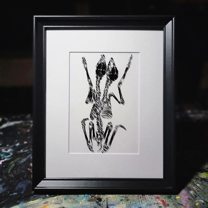 Conjoined Fawns