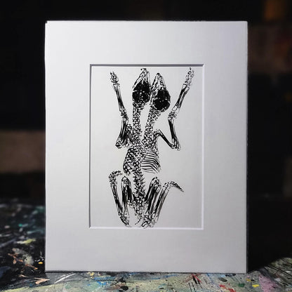 Conjoined Fawns