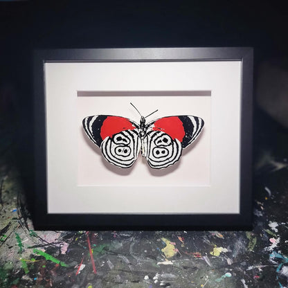 Eighty-Eight Butterfly