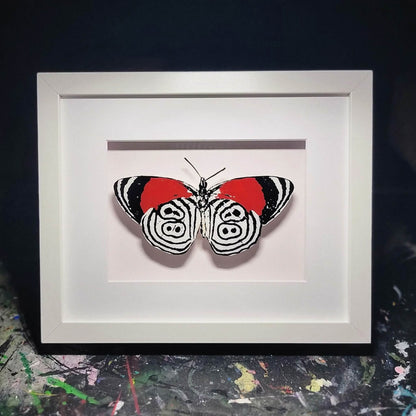 Eighty-Eight Butterfly
