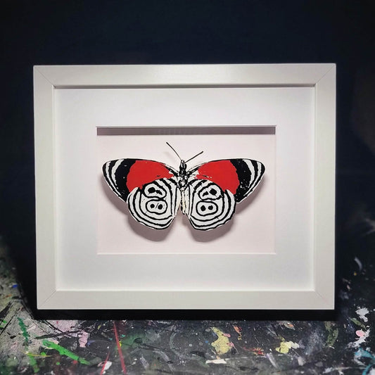 Eighty-Eight Butterfly