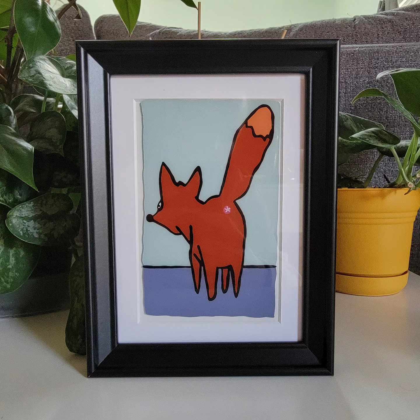 Fox Anus